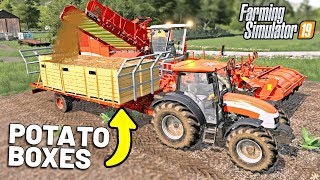 LOADING POTATO BOXES  Shamrock Valley 19  Farming Simulator 2019 [upl. by Dur343]