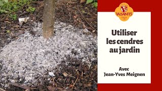 Utiliser les cendres au jardin [upl. by Wappes986]