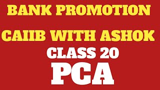 BANK PROMOTION CLASS 20PROMPT CORRECTIVE ACTION PCA [upl. by Tnarg]