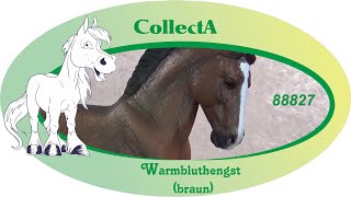 CollectA 88827  Warmbluthengst braun [upl. by Dat661]