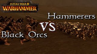 Black Orcs vs Hammerers  Total War Warhammer  1v1 Unit Battles [upl. by Ahsikat246]