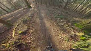 Josefle Trail Staufen 2023  4K  RAW  Specialized Kenevo SL [upl. by Los75]