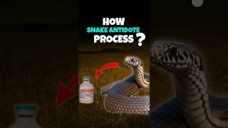 Antivenom Making Process  Horse vs Snake shorts snake antivenom [upl. by Notsob]