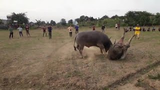 Choi trau đep mắt nhat 2021 [upl. by Anilehcim]