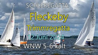 Schleiregatta Fleckeby 2024 06 12 W 4 6 [upl. by Aihgn288]