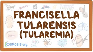 Francisella tularensis Tularemia  an Osmosis Preview [upl. by Ttergram]