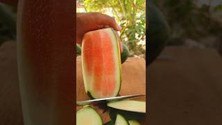 Satisfying pink watermelon cutting peeling satisfying [upl. by Amalbergas]