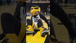 Iowa Hawkeye Tumbling Team Tumbles At Carver hawkeyes [upl. by Rocco]