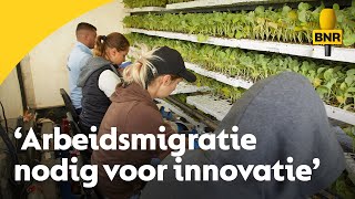 Nederland heeft arbeidsmigranten nodig Nodig om te innoveren [upl. by Naegem556]