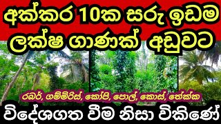 විදේශගත වීම නිසා විකුණන අක්කර 10 ක ඉඩම  Agriculture land Land for sale in sri lanka  Aduwata idam [upl. by Kapeed631]