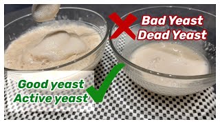 WHY YOUR BREAD DIDN’T RISE  HOW TO FIND YEAST IS ACTIVE [upl. by Jarita]