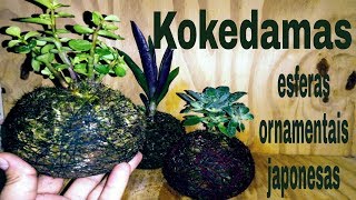 KOKEDAMA  Fácil de fazer [upl. by Einhpets]