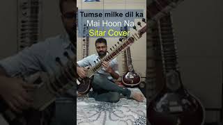 Tumse Milke Dilka Jo Haal  Mai Hoon Na  Sitar Cover  Sonu Nigam  Anu Malik [upl. by Grunenwald]