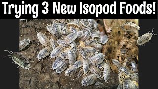 Isopod Feeding Frenzy Three New Foods [upl. by Mikael]