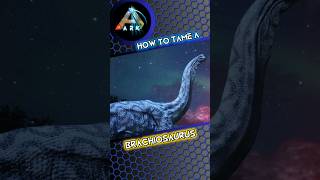 ARK How to Tame a Brachiosaurus [upl. by Atika]