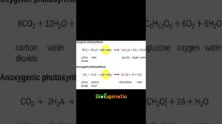 anoxygenicphotosynthesis autotrophicbacteria shortsvideo shorts biologyinbengali biologenetic [upl. by Reizarf575]