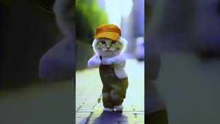 CartooncatdancevideosviralvideoshortvideoshortsfeedshortsTVCartoonpokemondoraemoncartooncat [upl. by Undine]