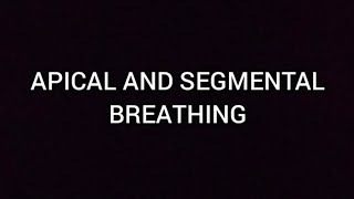 APICAL AND SEGMENTAL BREATHING [upl. by Tikna]