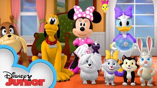 The Happy Helpers Pet Sit 🐠 Mickey Mornings  Mickey Mouse MixedUp Adventures  disneyjr [upl. by Osner]