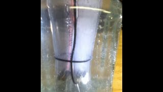 Electrolysis of Water and Hydrogen Explosion [upl. by Celinda]