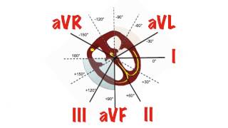 Cardiac Axis in 5 min [upl. by Ahrens]