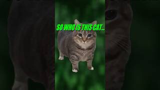 Who is the OIIA Cat memes [upl. by Lynea]