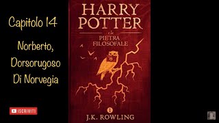 Harry Potter e la Pietra Filosofale audiolibro narrato da Francesco Pannofino  capitolo 14 [upl. by Synn]