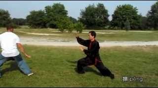 Taijiquan Eight Basic Energies Methods  Wang Fengming [upl. by Margalit81]