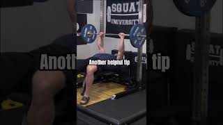 How To Build A STRONGER Bench Press [upl. by Aikenahs]