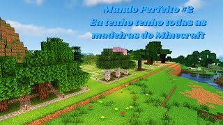 Eu peguei todas as madeiras do Minecraft 2 [upl. by Petulia]