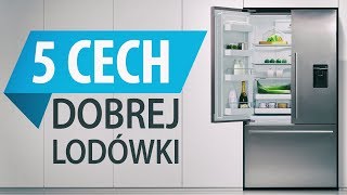 Jak wybrać najlepszą LODÓWKĘ 🌡️ 5 CECH dobrej LODÓWKI [upl. by Eidnas]