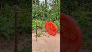 Creative Parrot Trap Using Basket youtubeshorts [upl. by Onaled60]