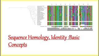 Sequence Homology Identity Basic Concepts Explained [upl. by Phillane270]