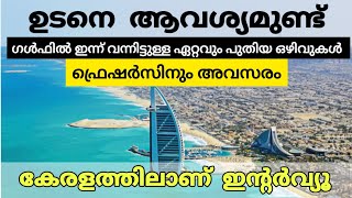 Gulf job vacancy malayalam 💥  Freshers Dubai jobs 😍  Gulf job interviews in kerala  Uae jobs [upl. by Cornel]