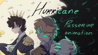 Hurricane II Passerine animation II [upl. by Aihsilat]