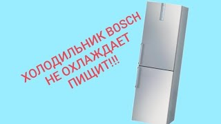 Холодильник Bosch KGN39A60 не набирает температуру в холодильнике пищит [upl. by Evot]