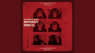 Monkey Disco [upl. by Cynthia362]