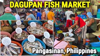 DAGUPAN Philippines  Morning SEAFOOD MARKET SCENE  Magsaysay Fish Port 2023 Prices  PANGASINAN [upl. by Erehs]