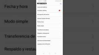 cómo activar DPI en Huawei y7 2019 [upl. by Assennev]