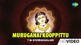 Muruganai Kooppittu  முருகனை கூப்பிட்டு  Tamil Devotional Video  TMS  Murugan Songs [upl. by Eentihw374]