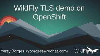 WildFly TLS demo [upl. by Oker]