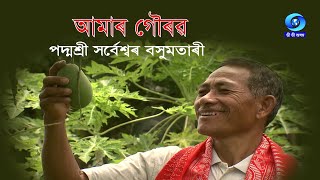 আমাৰ গৌৰৱ পদ্মশ্ৰী সৰ্বেশ্বৰ বসুমতাৰী  Amar Gaurav Padmashree Sarbeswar Basumatari  DD Assam [upl. by Haraz53]