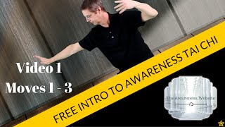 FREE Introduction to Awareness Tai Chi  Video 1 Moves 1  3 [upl. by Jariah]