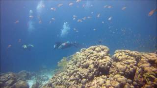 Bonaire Sidemount [upl. by Laing]