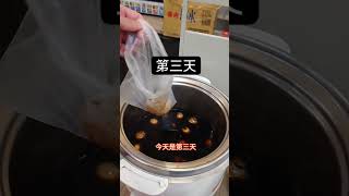 每天花到便利商店買茶葉蛋直到我中100萬 茶葉蛋 便利商店 我要上推薦 711 [upl. by Blisse144]