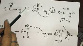 Mechanism of Hydrolysis of Cyanides Nitriles By Dr Manu Kaushal [upl. by Aiuqenehs]