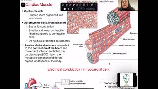 Cardiac Muscle Physiology I Talah Nammor I FND 111 PAL review session [upl. by Ecnarwal]