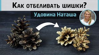 Как отбеливать шишки Эксперимент с удачным исходом от Удовиной Наташи [upl. by Gwenn432]