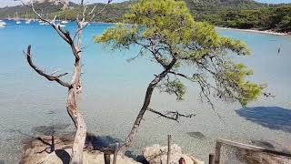 Plage Notre Dame  Île de Porquerolles [upl. by Aicitel]