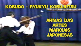 Kobudo  Ryukyu Kobujutsu [upl. by Eseuqram]